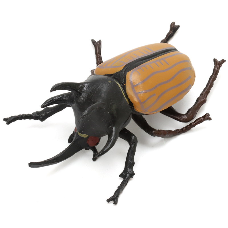 mechile仿真昆虫模型动物玩具蝴蝶蜜蜂蜘蛛蚱蜢螳螂七星瓢虫蜻蜓蟋蟀