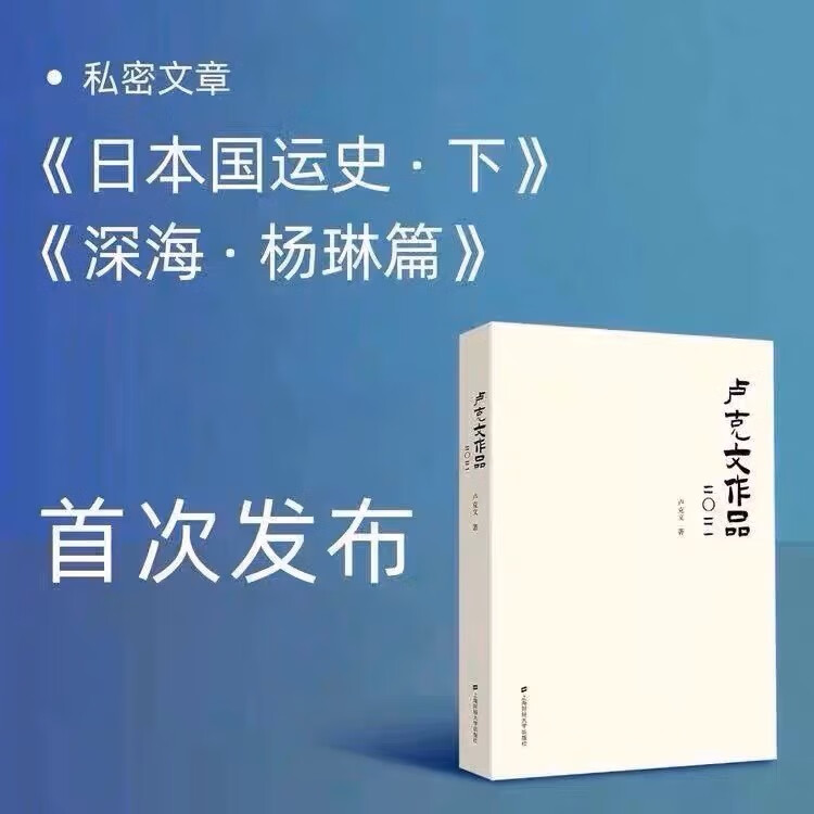卢克文作品2021 卢克文著 世界经济政治研究 上海财经大学出版社