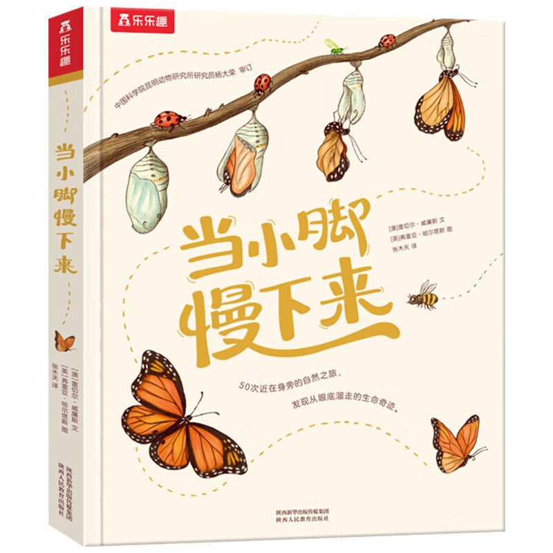 小小旅行家 跟着书本去旅行书 一年级孩子会讲故事的自然科普绘本读物