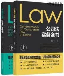 公司法实务全书（上下册）,谢秋荣著,中国法制出版社,9787509394007
