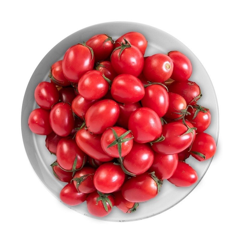 山东圣女果 净重3斤 小西红柿 约90个左右  产地直发包邮 新鲜水果 健康轻食