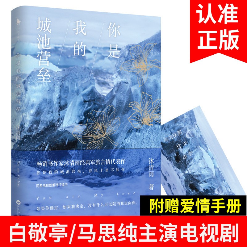 正版 你是我的城池营垒 沐清雨白敬亭马思纯主演电视剧原著