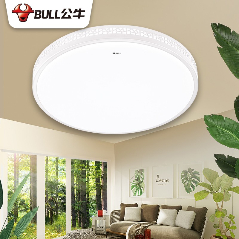 公牛其他灯具MX-B048D-BS