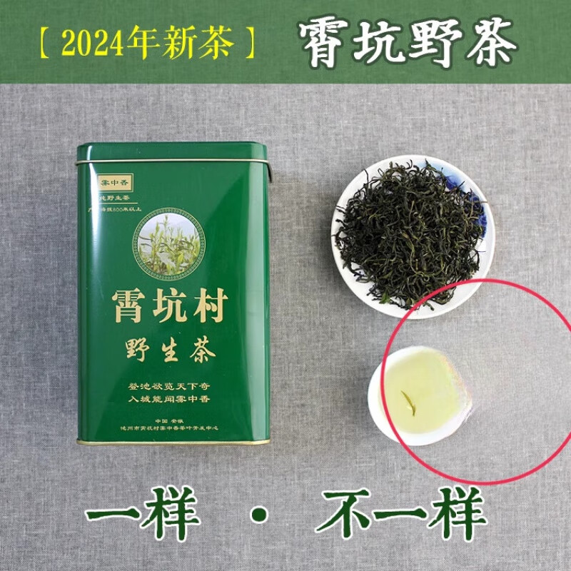 i2024新茶正宗霄坑野茶安徽池州肖坑村特产高山野生绿茶叶 250g