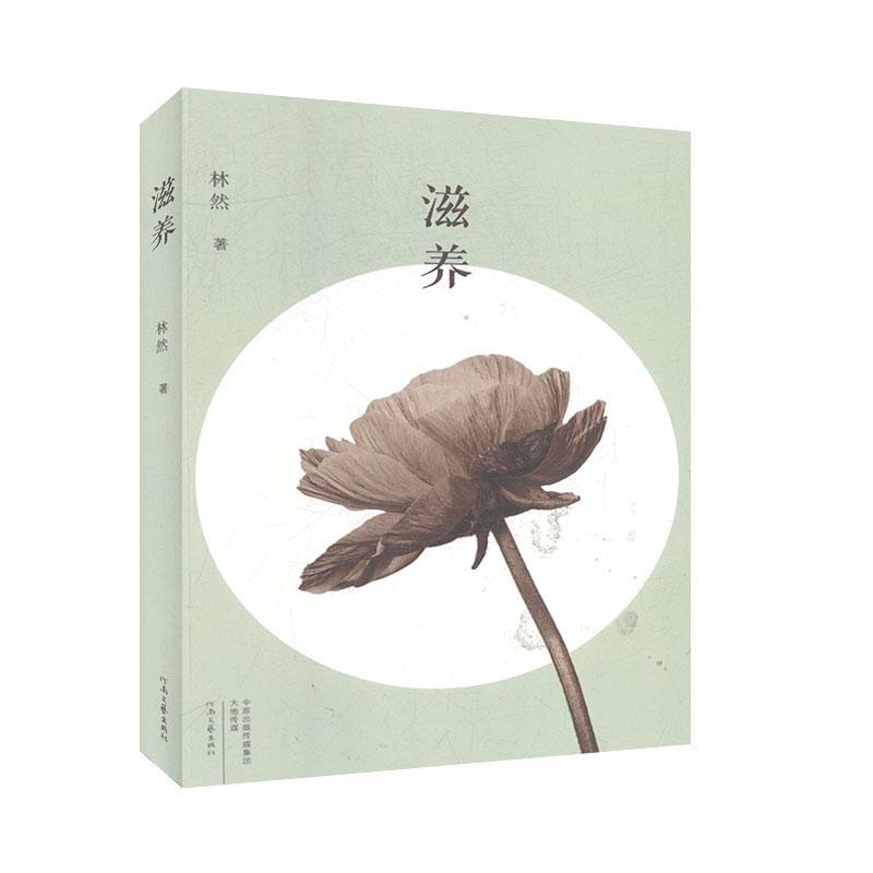 滋养文学  图书