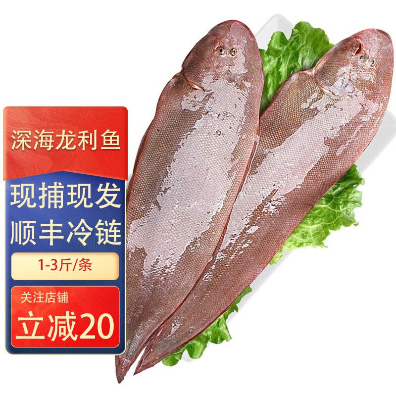 鹿凌青 新鮮大號(hào)龍利魚 舌頭魚 歪嘴魚 魚類 多規(guī)格可選 【鮮凍】龍利魚（1斤2條）2斤 足重?zé)o冰