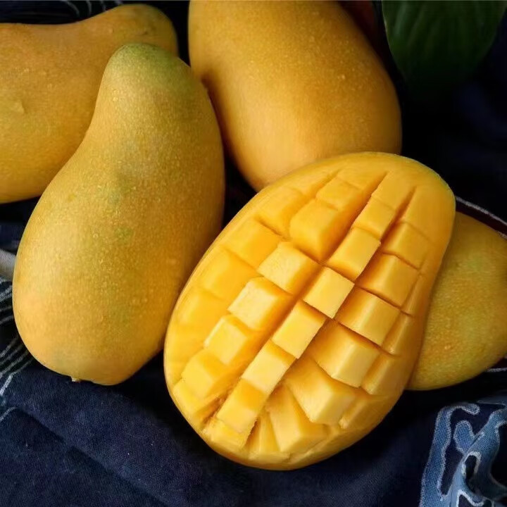 即享好券京东超市2元优惠券满3元可用