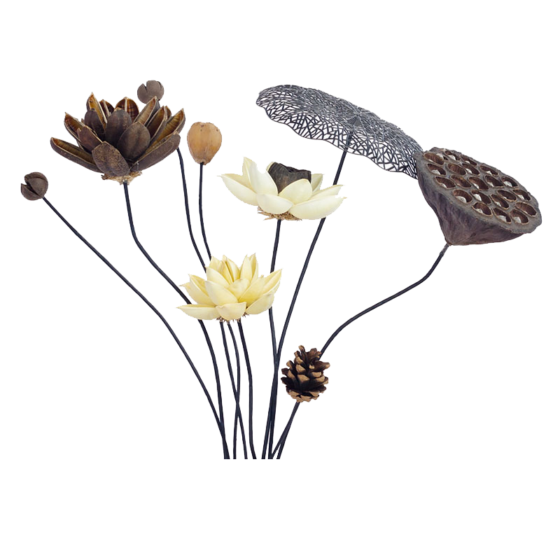 轻松装扮家居，有逸干花是您的不二选择！|干花价格曲线查询