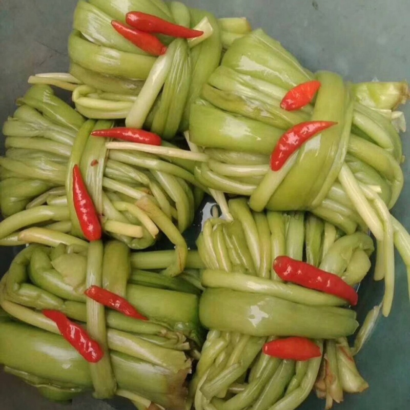 梅州土特产浸芋荷农家自制新鲜芋苗芋杆腌制下饭菜酸芋荷一斤 500g