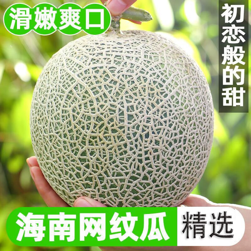 双十一查瓜历史价格|瓜价格走势图