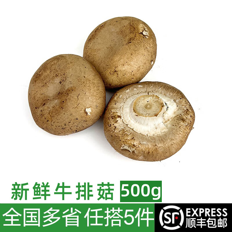 绿食者 新鲜褐菇500g 新鲜菌菇食用菌 波多黎各菌炒菜煲汤食材 500g