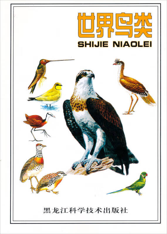 世界鸟类【精选】