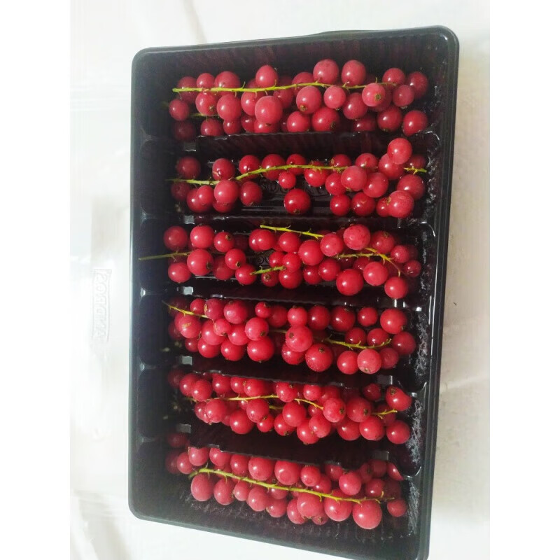 映棠安德鲁红加仑 安德鲁速冻带枝红加仑 200g/盒2盒装装饰果粒