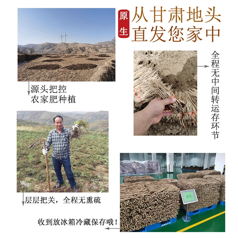 王立成 黄芪 黄芪片 甘肃精选主根无硫切片黄芪泡茶250克/袋 可搭配党参当归