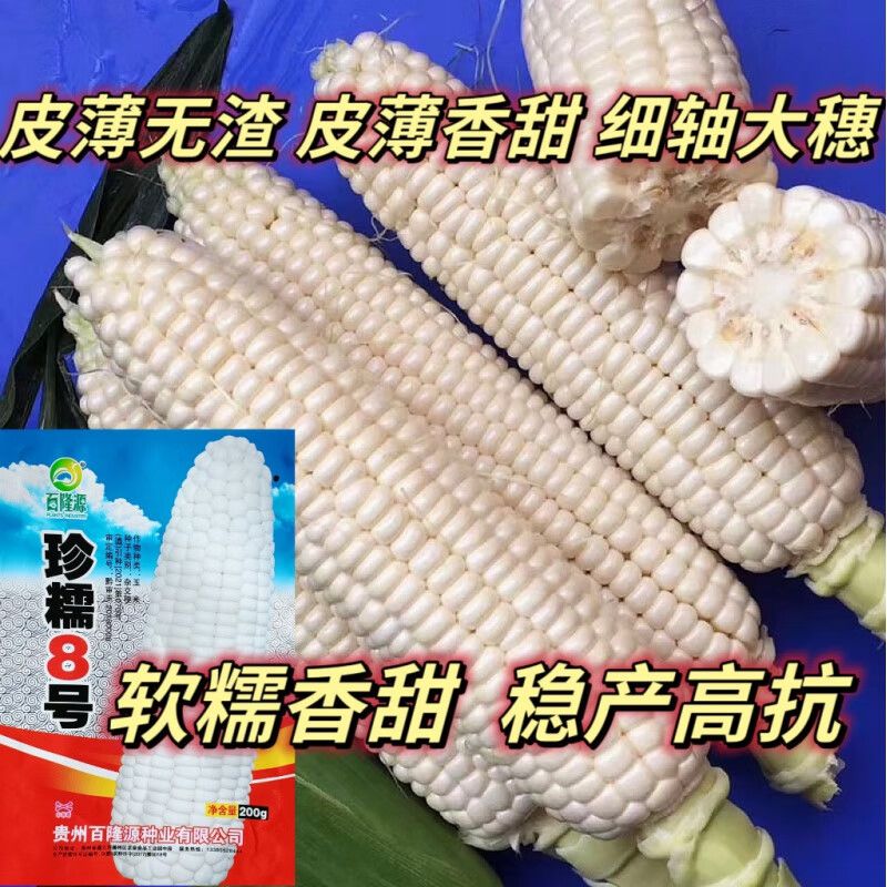 农喜发京科糯2000 珍糯8号糯玉米种子 早熟抗病粘玉米甜玉米甜糯玉米
