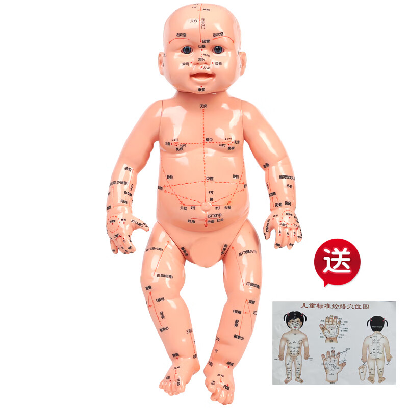 小儿推拿模型练习娃娃全身穴位模型真婴儿宝宝按摩月嫂培训教学 婴儿