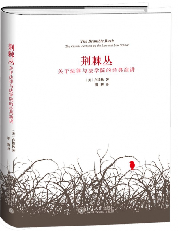 荆棘丛(关于法律与法学院的经典演讲)