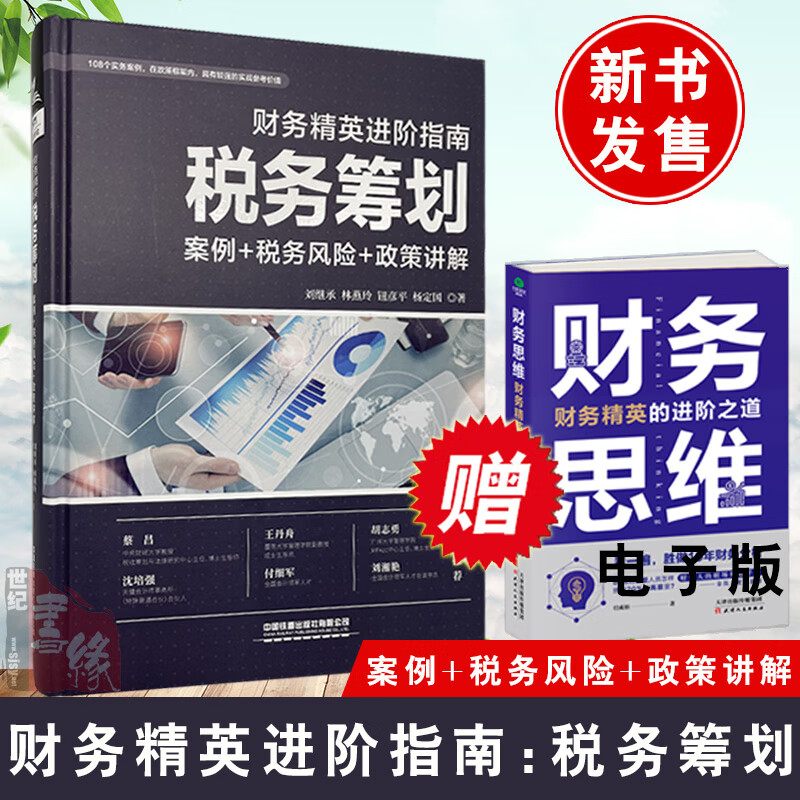 正版书籍 财务精英进阶指南：税务筹划（案例+税务风险+政策讲解）刘继承 林燕玲 钮彦平 杨定国 财务管理基础知识税务筹划一本通