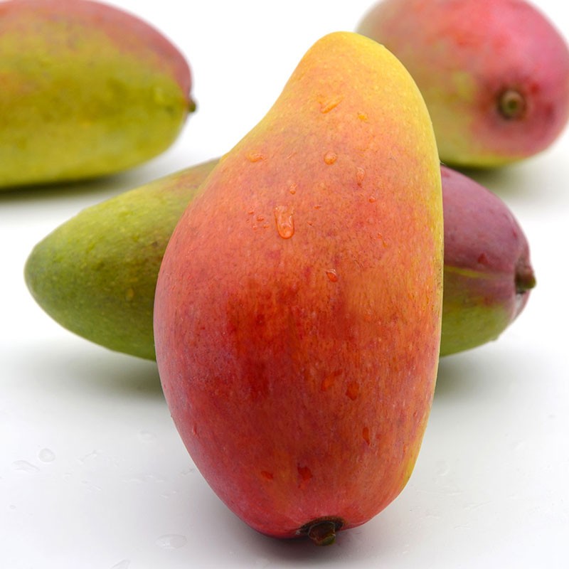 芒果价格行情实时走势|芒果价格比较