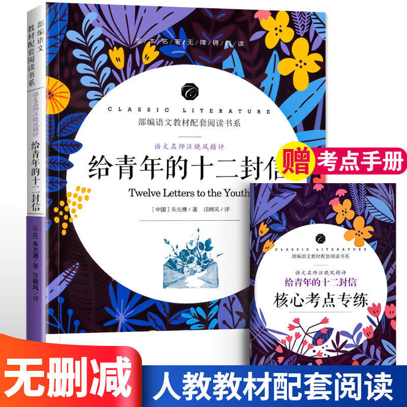 给青年的十二封信原著朱光潜无删减中学生人教版语文名师精评导读0