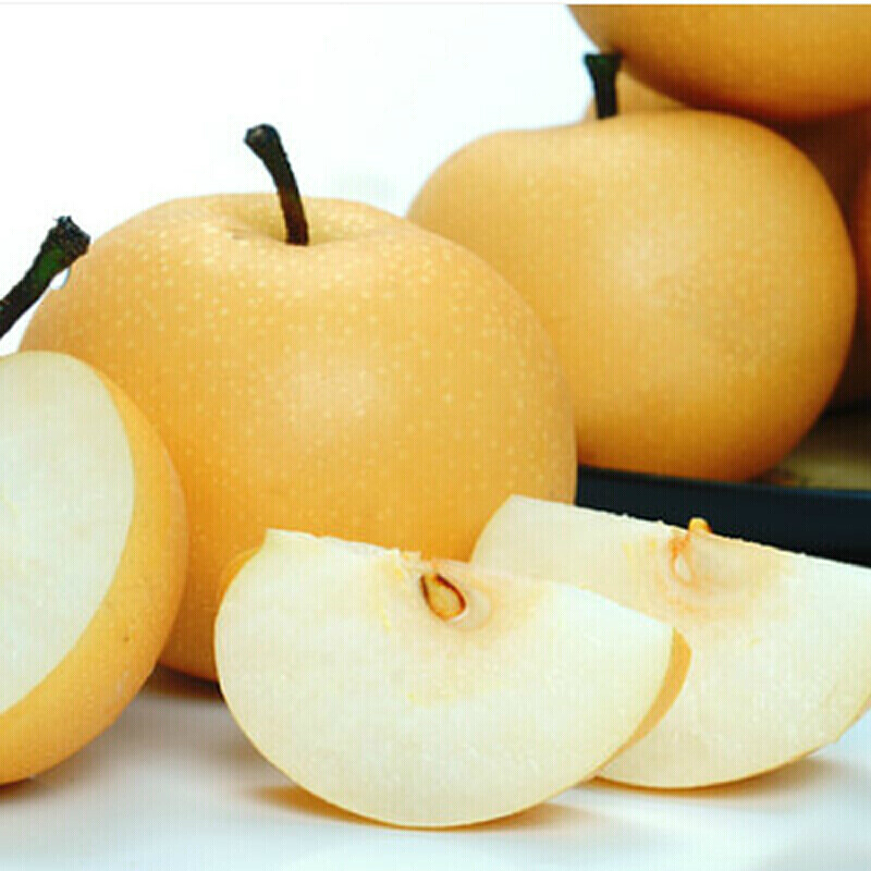 桃李村秋月大黄梨莱阳大黄梨山东特产梨子脆甜新鲜水果 9斤 大果