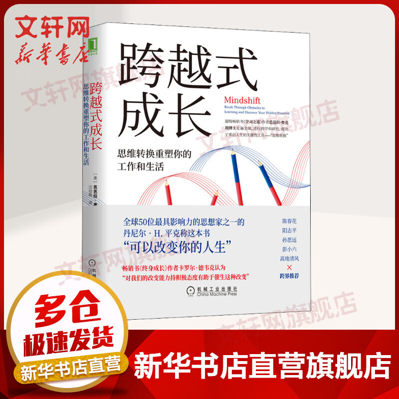 跨越式成长 思维转换重塑你的工作和生活