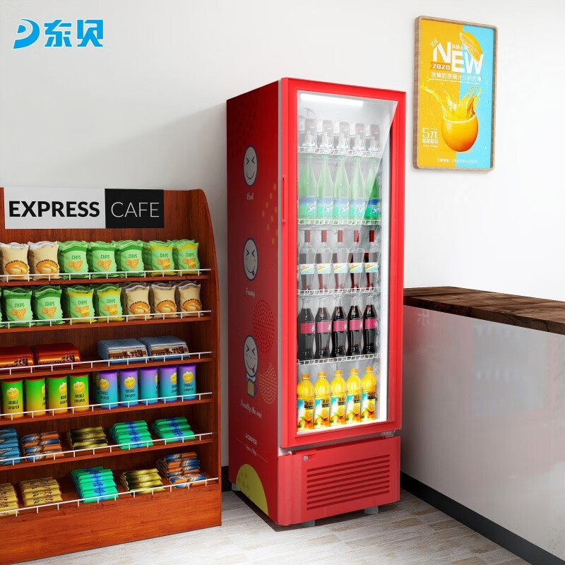 东贝（Donper）冷藏保鲜展示柜商用立式单门饮料柜超市单门无灯箱款冷藏柜LC-290（红）