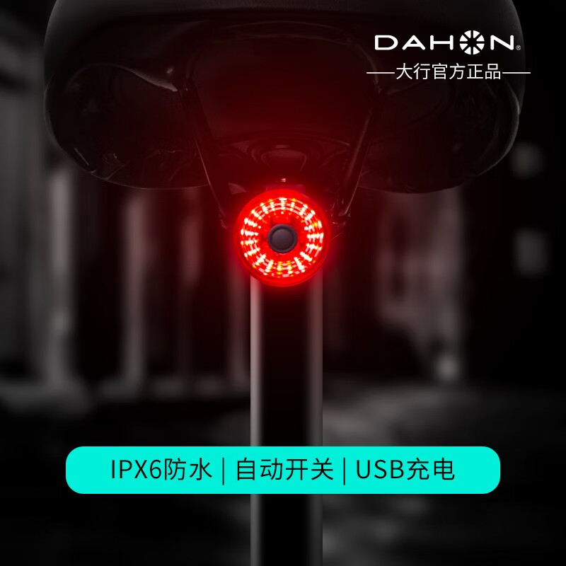 大行(DAHON)折叠自行车p8尾灯智能感应刹车灯骑行装备山地车公路车夜骑尾灯刹车感应尾灯通用配件 双支架+智能尾灯