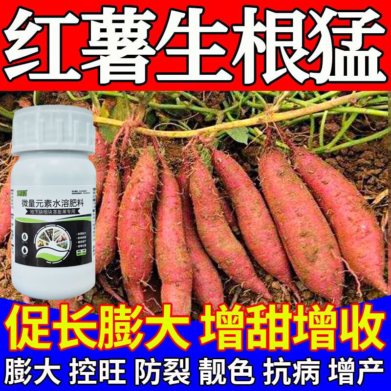 红薯专用地下根茎块茎膨大剂土豆红薯马铃薯大蒜姜通用膨大膨果素 一