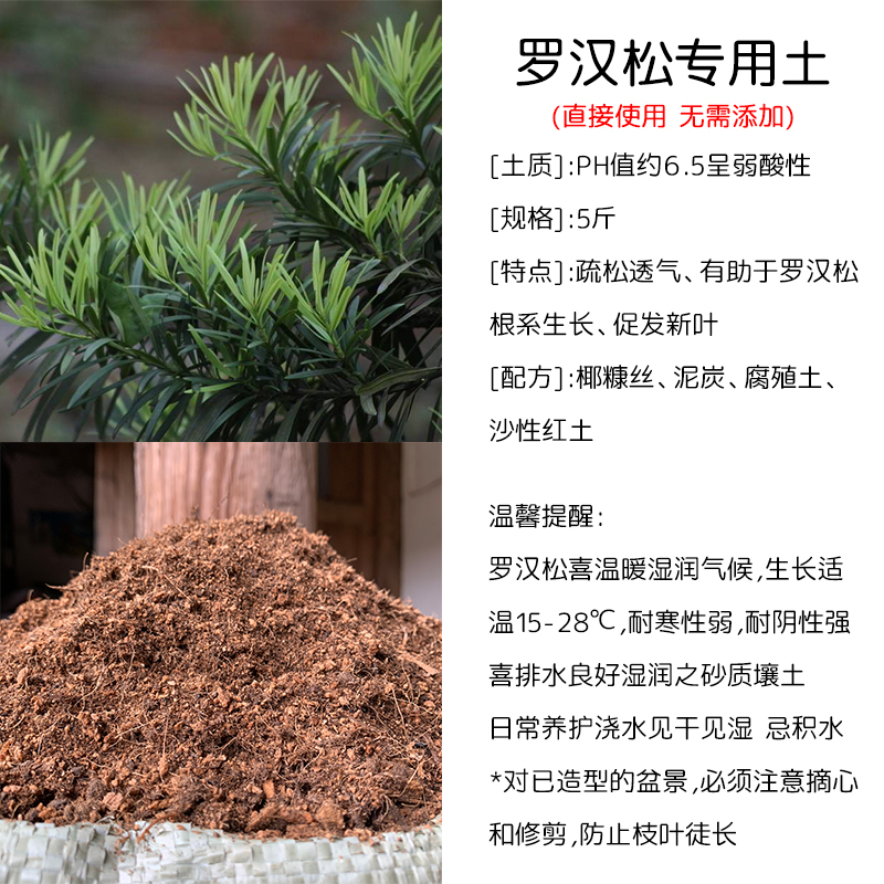 罗汉松专用土罗汉松土专用土酸性营养土家庭盆栽小叶罗汉松米叶金