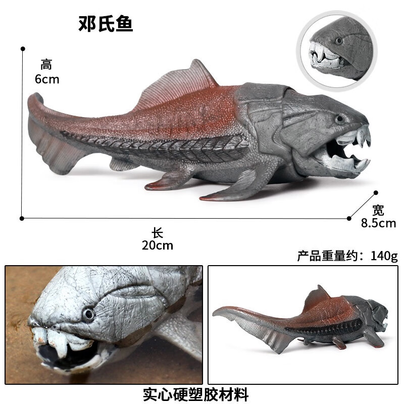 迪士尼仿真海洋生物动物模型大白鲨玩具巨齿鲨玩具电影同款儿童鲨鱼玩具 邓氏鱼(嘴巴可动)