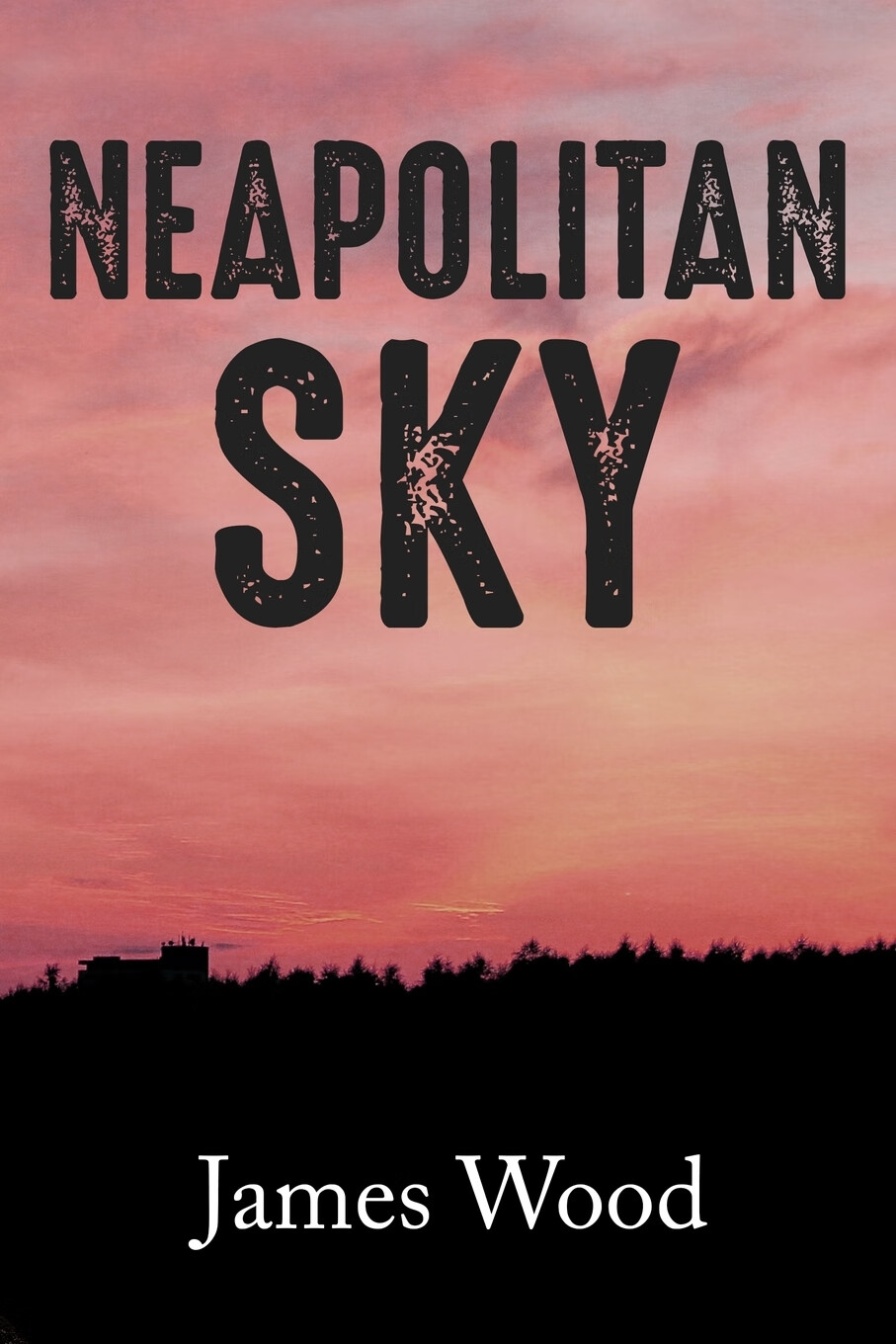 【预售 按需印刷】neapolitan sky