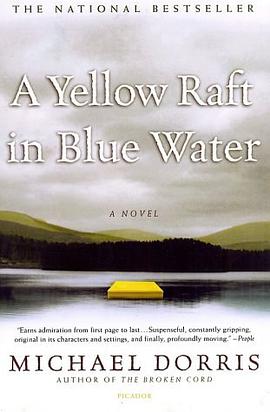 正版现货A Yellow Raft in Blue Water Mich 9780312421854