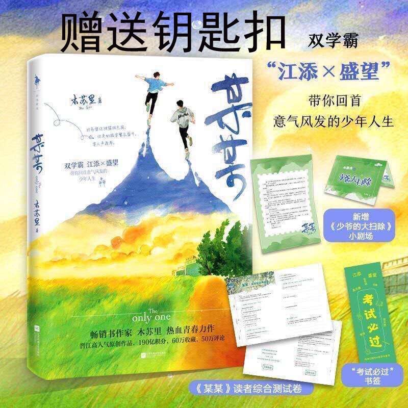 未删减版某某小说木苏里晋江文学人气校园励志青春小说书 某某  品