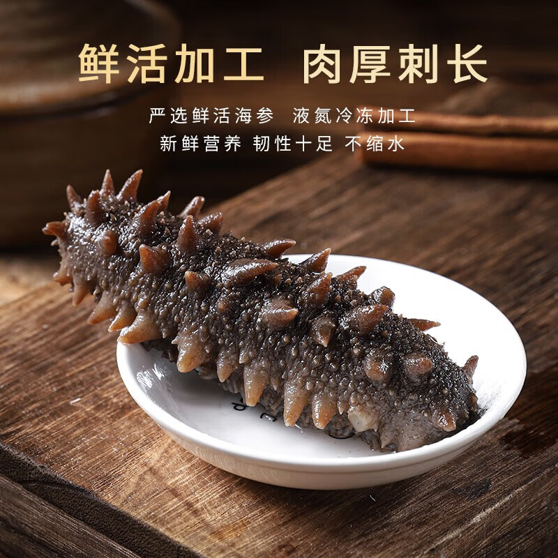 颐口福大连鲜食海参野生底播9A国产海参礼盒顺丰包邮海鲜水产礼盒礼品 1000g即食海参 (20-30只/斤)