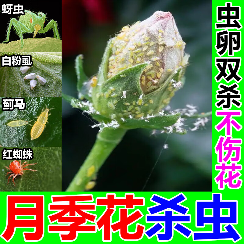 原色花卉病害虫百科 7 植物病虫害防治大全，养花常遇到的病菌和害虫，附详细用药方法