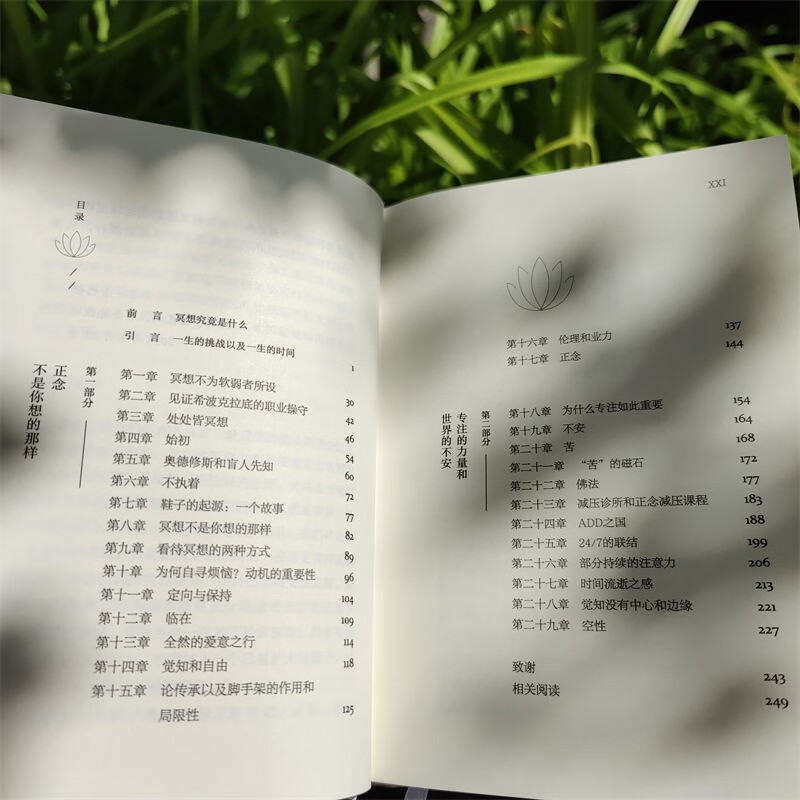 正念地活：拥抱当下的力量详情图