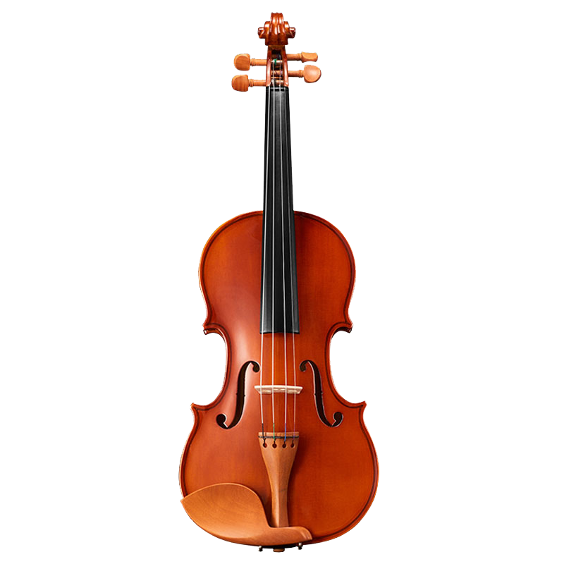 红棉（Kapok）小提琴成人练习考级手工实木初学者专业级儿童入门 V008枣木配件 1/2 135cm左右身高适用