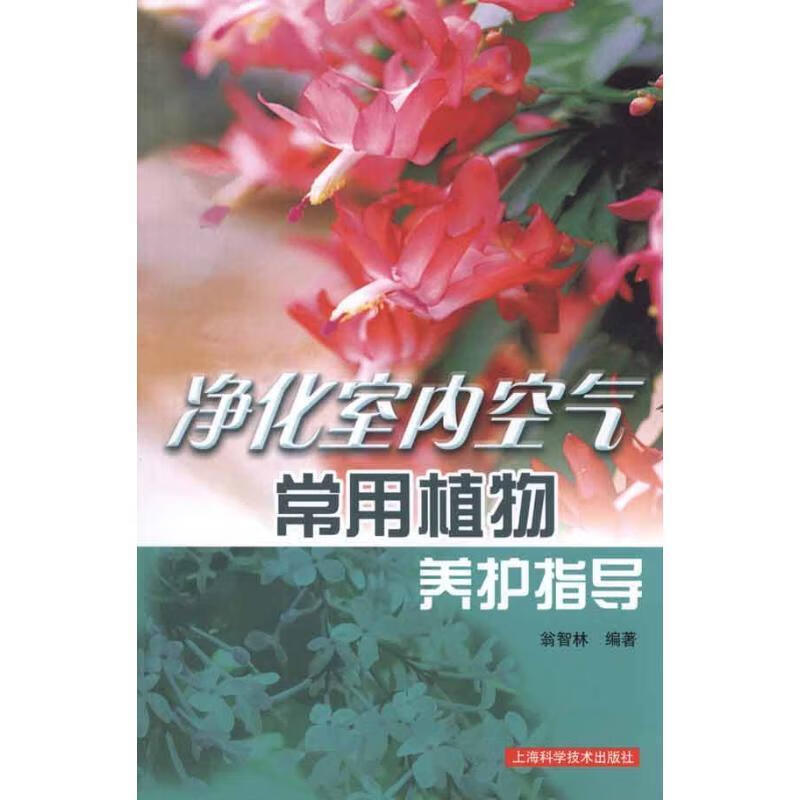 净化室内空气常用植物养护指导