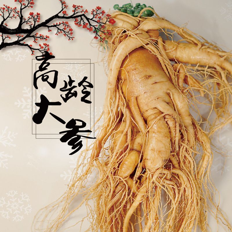 吉林发货[正宗长白山人参]假一 毛重800克 野山王 -推荐