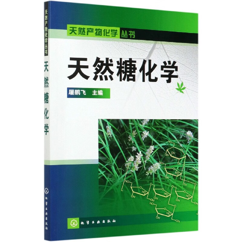天然糖化学/天然产物化学丛书