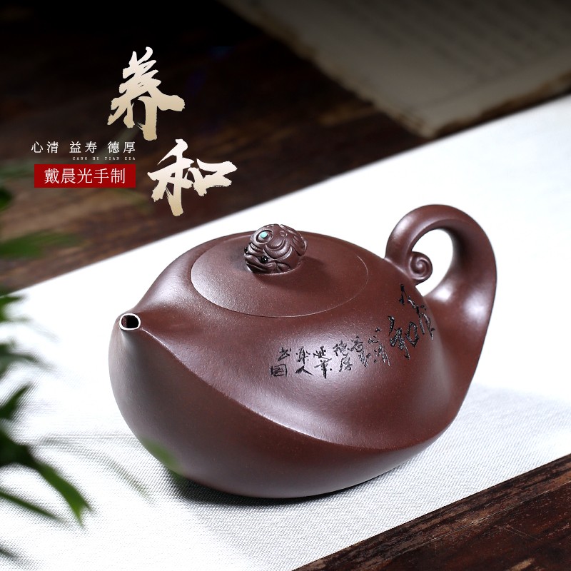月壶茗清 宜兴紫砂壶名家戴晨光纯手工刻绘老紫泥功夫茶壶具养和 养和