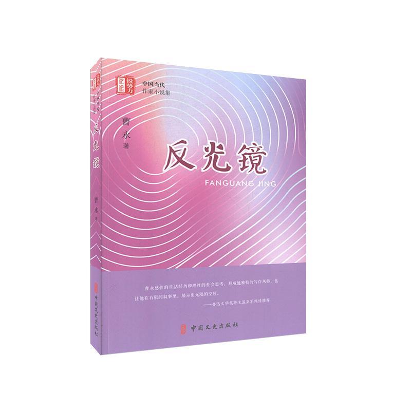包邮：反光镜 小说  图书