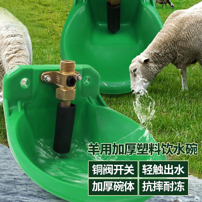 山头林村羊用饮水碗加厚塑料羊自动饮水器羊喂水喝水碗全套养羊设备