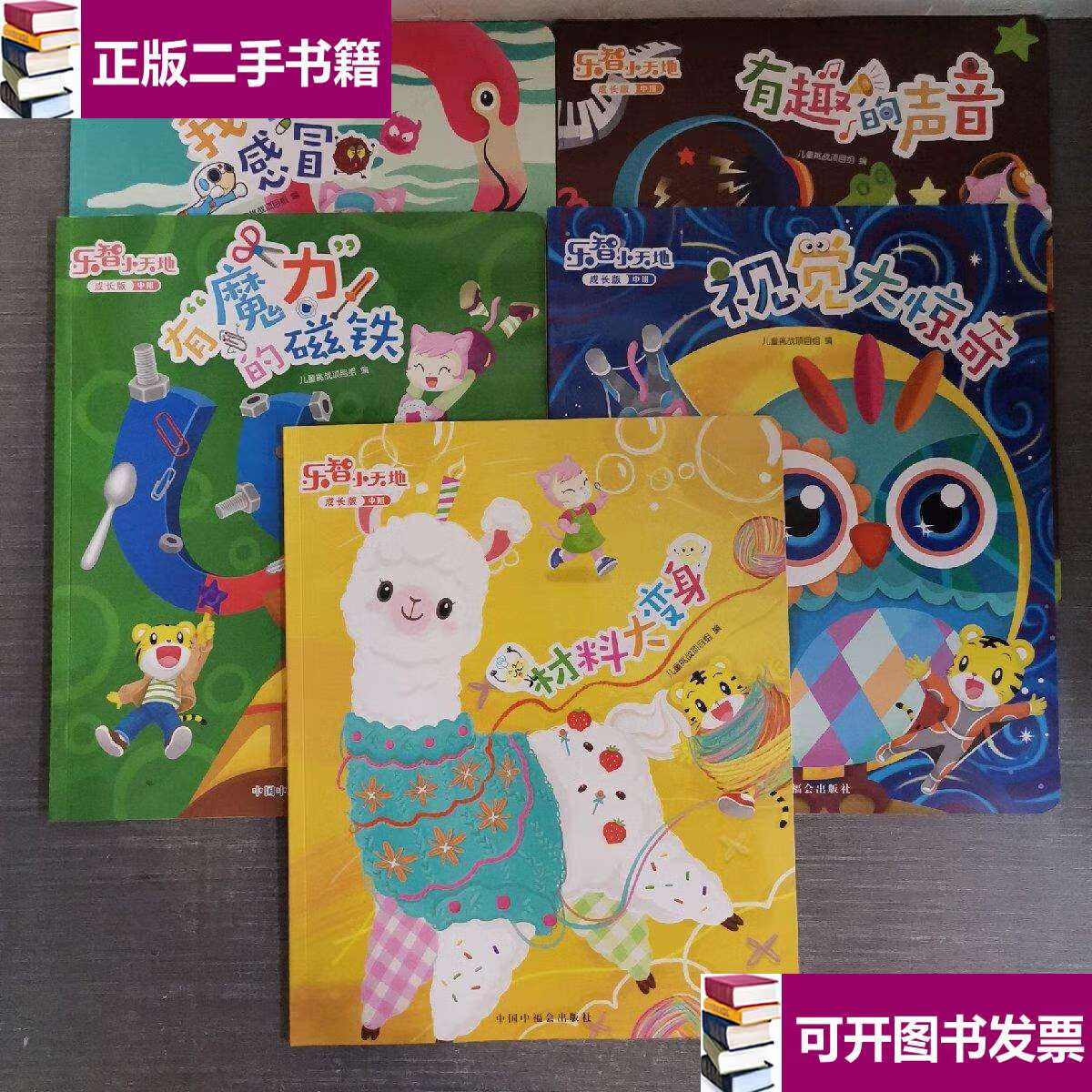 【二手9成新】乐智小天地成长版中班 /儿童挑战项目组 中国中福会