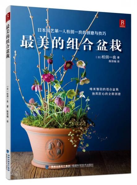 美的组合盆栽9787533546175