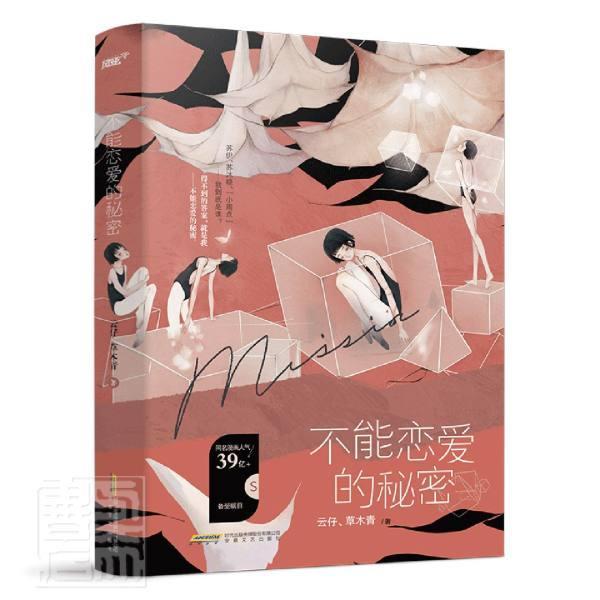 不能恋爱的秘密小说言情小说中国当代 图书
