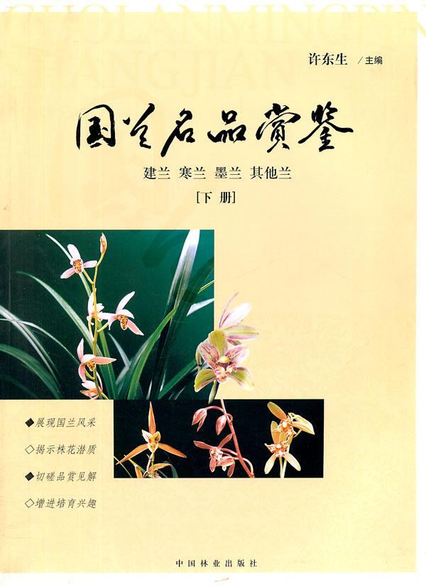 包邮：国兰名品赏鉴-建兰 寒兰 墨兰 其他兰-下册家居兰科鉴赏中国图集 图书