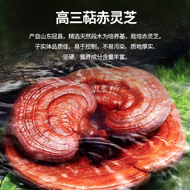 强贝冠有机破壁灵芝孢子粉[三萜16%] 有机蓝帽双认证保健探病术后滋补品 2盒装（2月量）