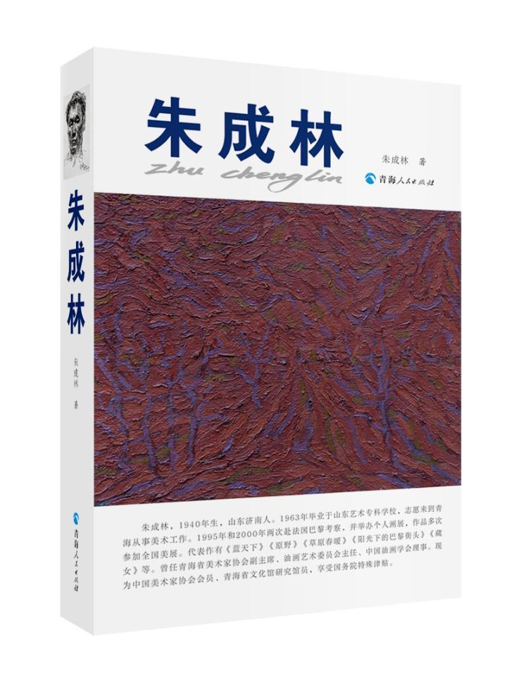 包邮：朱成林绘画油画作品集中国现代 图书